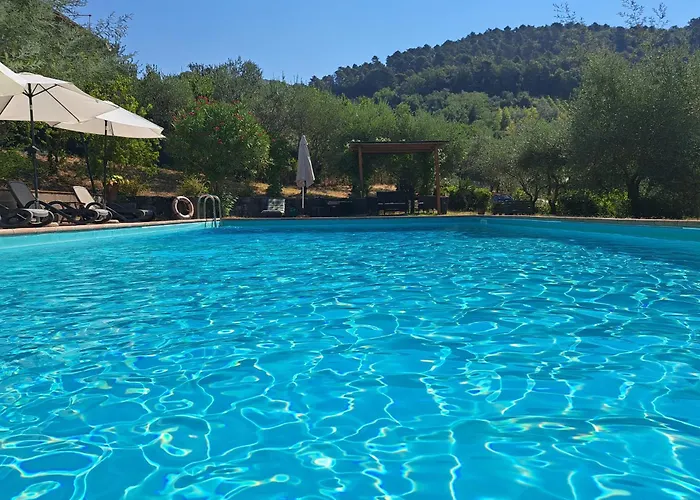 Agriturismo Poggio all'Olmo Villa Greve in Chianti